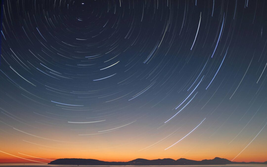 Organizational Culture: The North Star in Healthcare