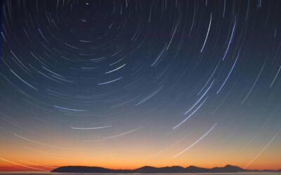 Organizational Culture: The North Star in Healthcare