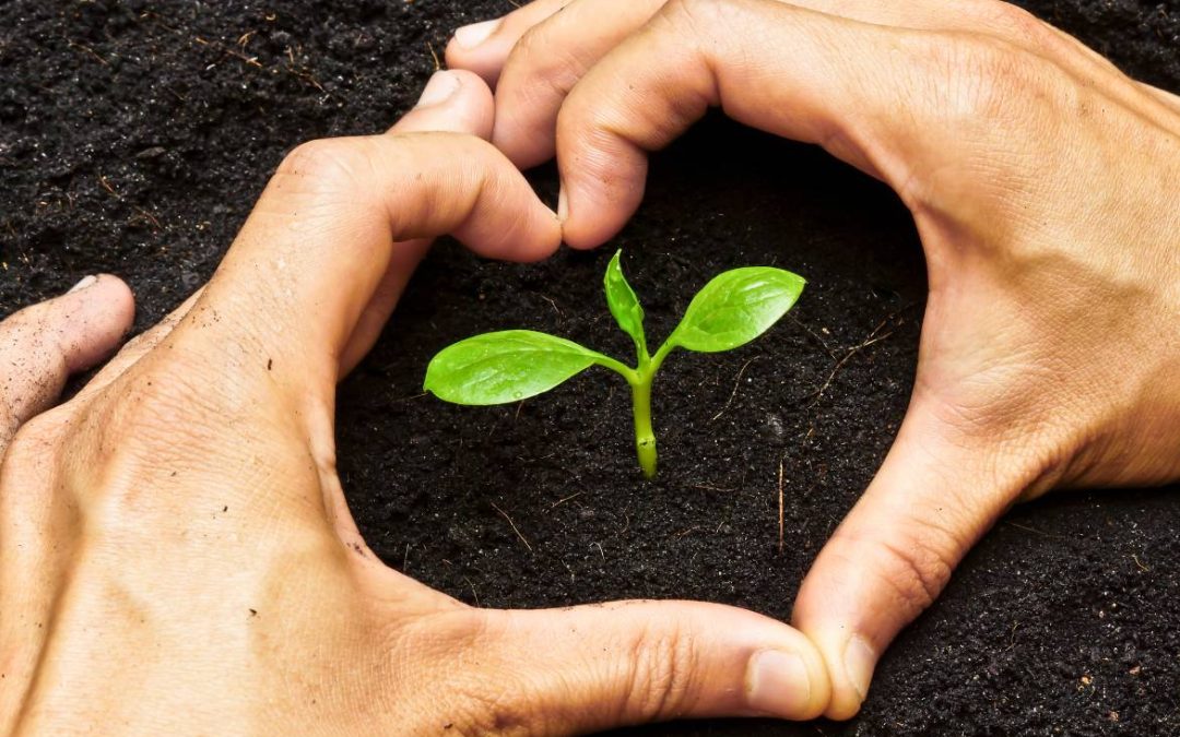 Building a Culture of Connection: The Heart of Healthcare Leadership