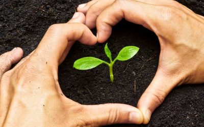 Building a Culture of Connection: The Heart of Healthcare Leadership